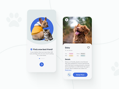 Pet Shelter App Design animal animals app app design brand design figma minimalist mobile pet pets shelter ui ux