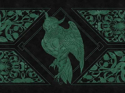 Owl Book Illustration book cover design design digital art graphic design illustration illustrator