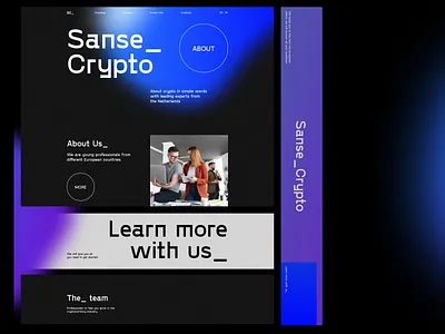 Sanse Crypto branding design designer figma graphic design illustration logo photoshop ui web website