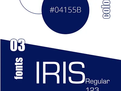 CSS Logo branding design flat graphic design illustration vector