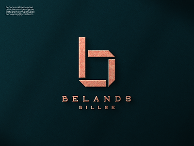 Letter B Logo Design lettermark