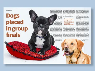 Magazine Design businessmagazine cover cover design editorial editorial design magazine magazine cover magazine design magazine layout design magazinelayoutdesign newspaperdesign newspaperlayout print design