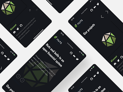 NUTS Finance branding design figma site ui ux web design