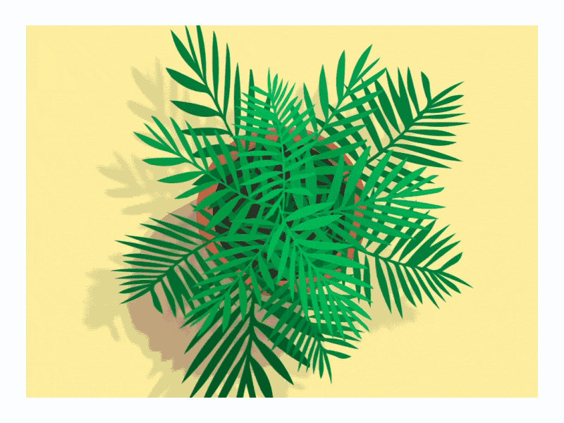 Motiontober2022 | Day 12 | "Botanic" 2d after effects animation cloner elastic fibonacci leaves nature plants pot procedural rig script slider spring tool