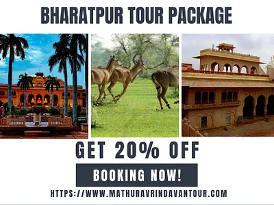 Explore Rajasthan with Bharatpur Tour Package bharatpur tour package