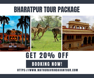 Explore Rajasthan with Bharatpur Tour Package bharatpur tour package