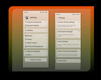 Cpay Privacy Settings 007 dailyui dailyuichallange paymentsettings privacysettings settings