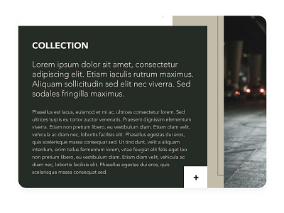Elvina Petrina (Pt. 4) branding design ui uiux ux