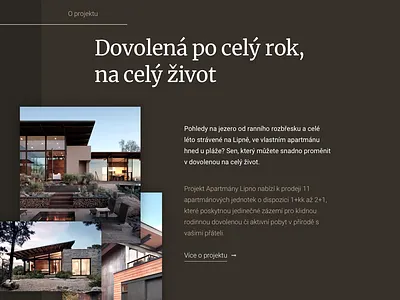 Real Estate website design flat ui web webdesign website
