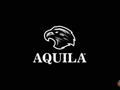 AQUILA logo - FOR SALE aguila aquila bird branding design eagle esports fly gaming head logo mascot minimal vector