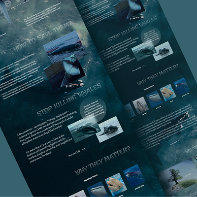 Save the whales design figma landing page ui