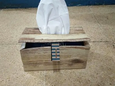 Tissue Box Craft branding design graphic design motion graphics