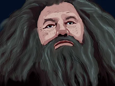 Rubeus Hagrid - Harry Potter character art artwork hagrid harry potter hogwarts illustration wizard