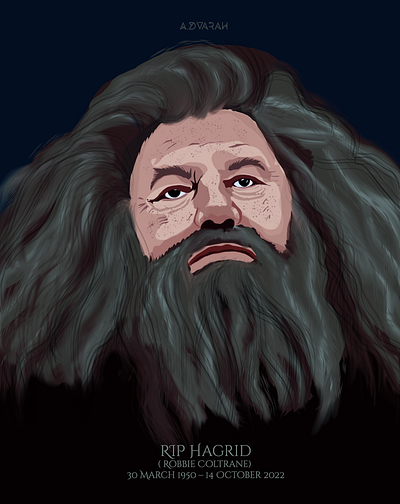 Rubeus Hagrid - Harry Potter character art artwork hagrid harry potter hogwarts illustration wizard