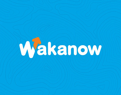 Wakanow branding design ui ux wakanow web