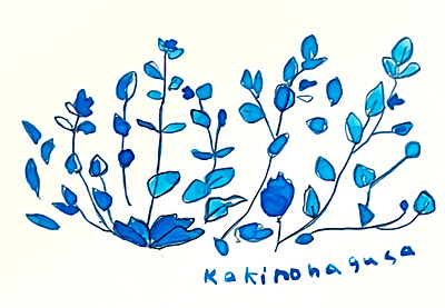 kakinohagusa_japanese flower design graphic design illustration textile wallpaper