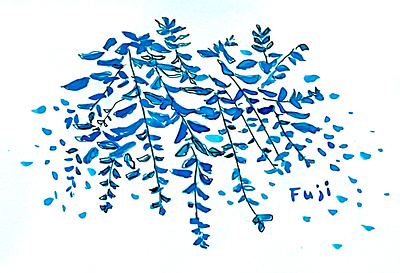 Fuji_japanese flower design graphic design illustration textile wallpaper