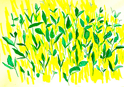 Japanese green tea design graphic design illustration textile wallpaper