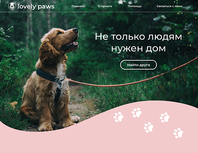 Lovely Paws pet's shelter figma lovely paws pet pets pets shelter shelter ui ux