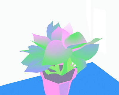 indoor plant digitalart illustration plant