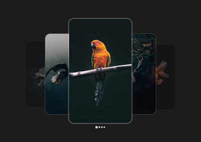 DailyUI 72 - Image Slider app dailyui dailyui73 design image slider product design ui ux