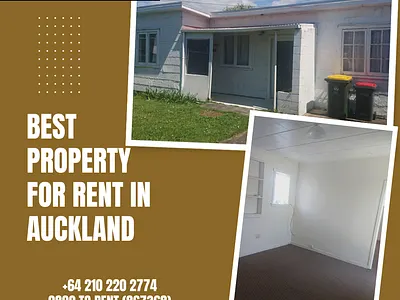 Find The Best Rental Properties in Auckland manukau city proedgeproperty property management property management services rental property