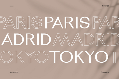 Pabriqa Sans Serif classic design font font design modern typography