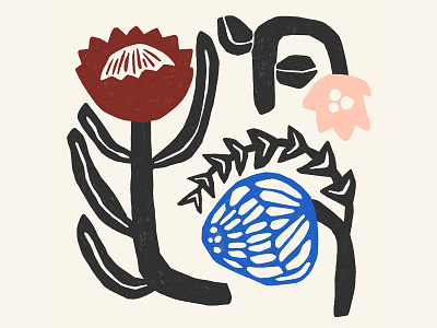 Australian Natives flowers greenery illustration nature procreate
