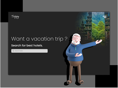 Trippy: Hotels hunt site concept. app branding design graphic design illustration logo typography ui ux vector