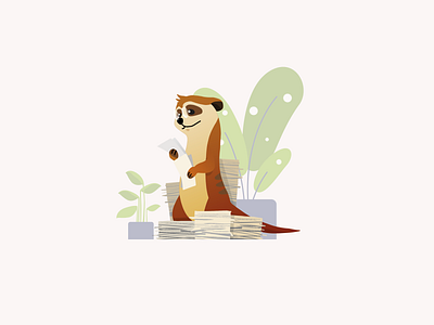 Dr.Meerkat design graphic design illustration