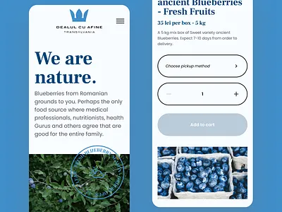 Dealul cu afine - Ecommerce Website Design clean digital ecommerce ui ux website website design websitedesign