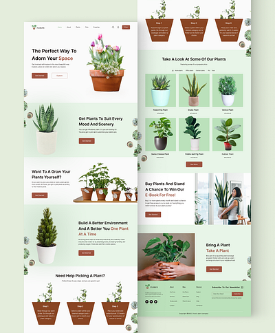 Plant shop homepage e commerce flower shop landing page flowers landing page landing page nature plant landing page plant shop landing page plant shop web design plant shop webpage plantshop ui ui de ui design ui ux web page