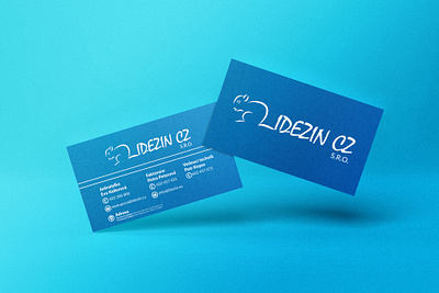 Business Card branding design graphic design illustration logo typography