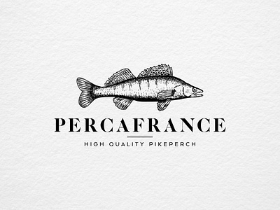 Hand Drawn Pikeperch Concept branding design emblem design emblem logo farm farm emblem farm logo fish fish concept fish drawing fish logo illustration logo pikeperch pikeperch fish