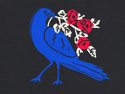 Bird 2d black color illustration procreate