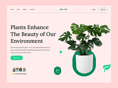 Plant Shop Website design ecommerce flower gardening landing page minimal plant care plant store plants shop tree ui design web design