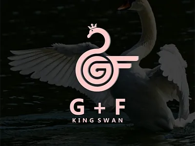 swan logo concepts branding design graphic design illustration logo motion graphics typography ui ux vector