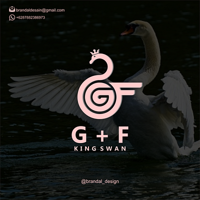 swan logo concepts branding design graphic design illustration logo motion graphics typography ui ux vector
