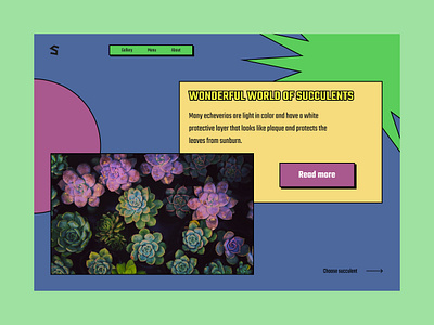 Succulents concept design neobrutalism ui ux web