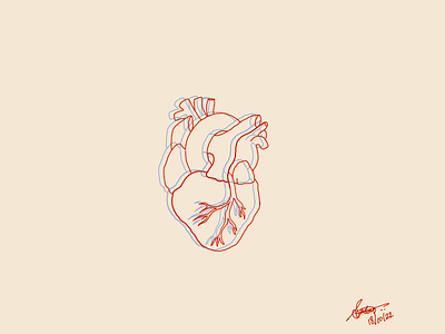 Precious Heart 🫀 branding design graphic design illustration illustrator ui vector