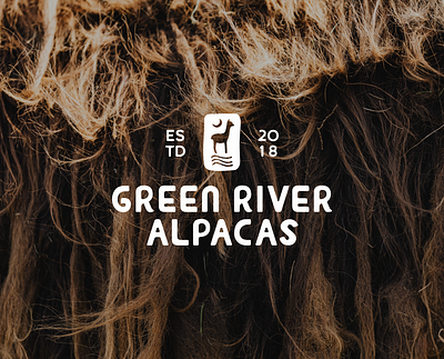 Green River Alpacas Main Logo alpaca alpacas branding farm branding farm logo graphic design logo modern branding ranch logo utah