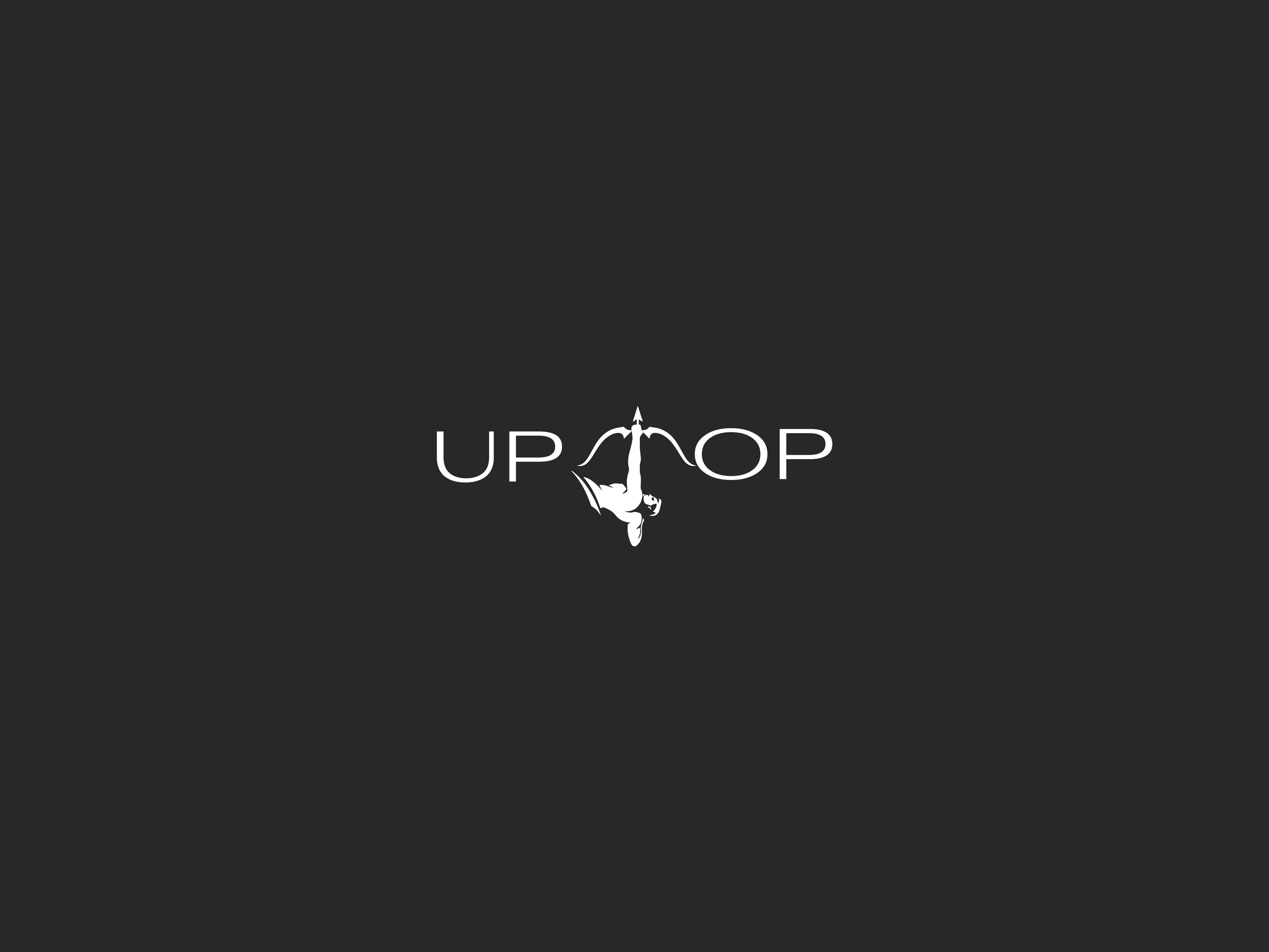 Example of Essential Logo Design Package