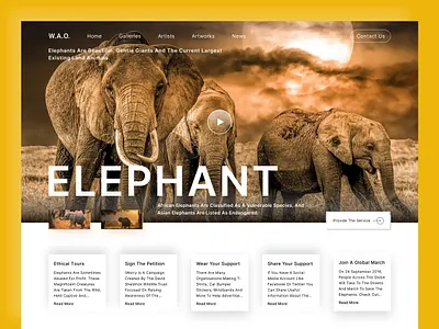Elephant Care Web Header animal lover animal web bitmate bitmate studio clean elegant elephant elephant care landing page ui minimal minimalist simple ui ux video web app web designer web header web interface website design