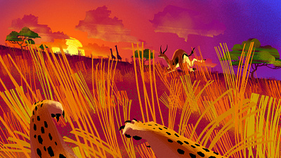 Nat Geo Wild "Cheetah" design illustration motion graphics