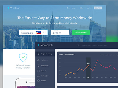 WireCash app design ui ux