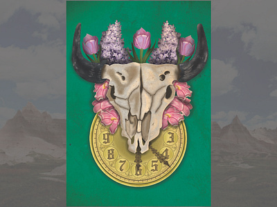 Buffalo Skull Illustration design graphic design illustration vector