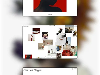 Charles Negre - website art directon branding design digital design graphic design interaction minimal motion motion graphics photography typography ui uiux webdesign website