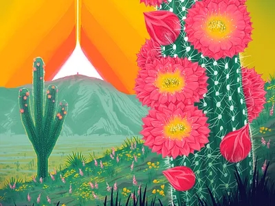 Death Cab for Cutie Poster arizona cactus death cab desert drawing flowers gig poster illustration poster