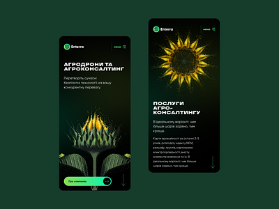 Enterra agriculture illustrated web illustration mobile design responsive web sunflower technology web web design