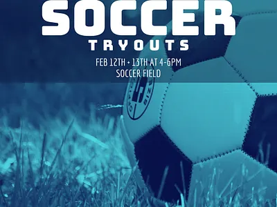 SPARK branding design